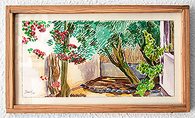 Nook with olive, bougainvillea and vineyard